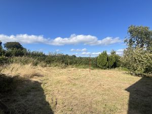 Photo 14- click for photo gallery